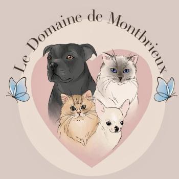 CHATTERIE DU DOMAINE DE MONTBRIEUX