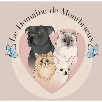 CHATTERIE DU DOMAINE DE MONTBRIEUX