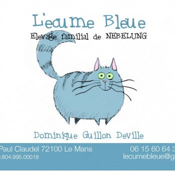 Chatterie L’écume bleue