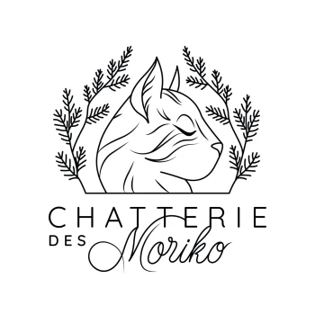 Chatterie des Moriko