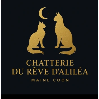Chatterie du rêve d'Aliléa