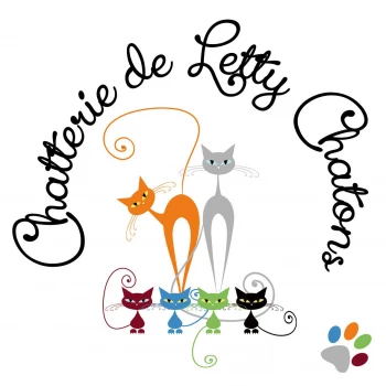 Chatterie de Letty Chatons