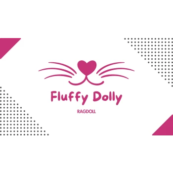 Chatterie Ragdoll Fluffy Dolly