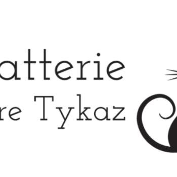 Chatterie la cavalière TyKaz