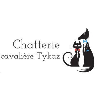 Chatterie la cavalière TyKaz