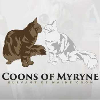 Chatterie Coons of Myryne