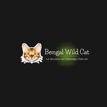 Chatterie Bengal Wild Cat