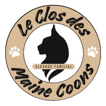 Le clos des Maine Coons