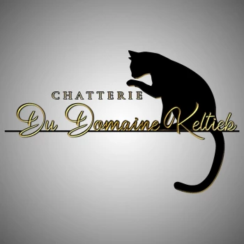 Chatterie du domaine keltiek