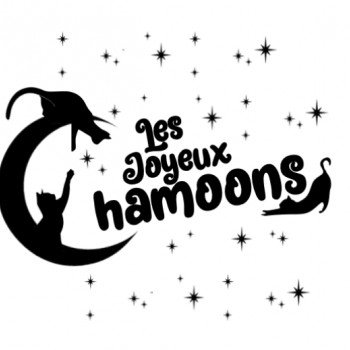 Les Joyeux Chamoons