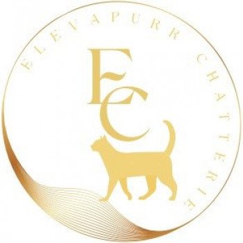 Chatterie Elevapurr