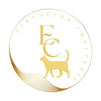 Chatterie Elevapurr