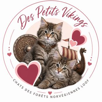 Chatterie Des Petits Vikings