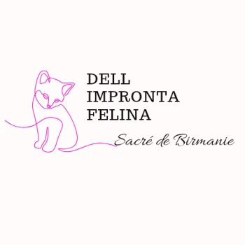 chatterie dell impronta felina