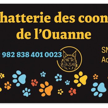Chatterie Des Coons de l'ouanne