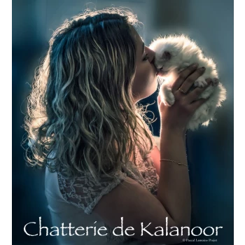 Chatterie de Kalanoor