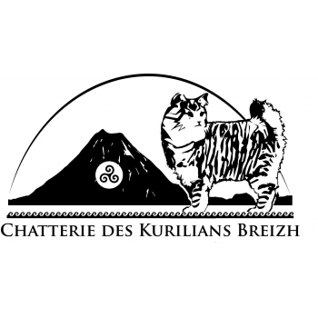 Chatterie Des Kurilians Breizh