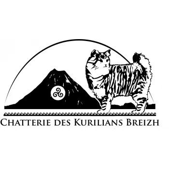 Chatterie Des Kurilians Breizh