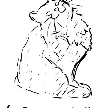 Elevage chats sibériens Chatterie Ovilloise - Comportementaliste félin