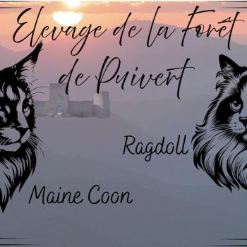 Elevage de la Forêt de Puivert