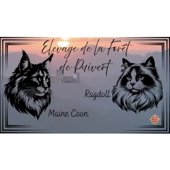 Elevage de la Forêt de Puivert