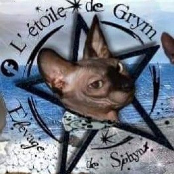 chatterie L' étoile de Grym