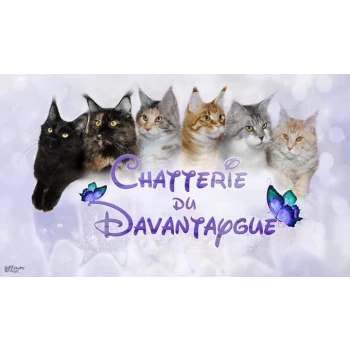 Chatterie du Davantaygue