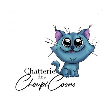 Chatterie Des Choupicoons