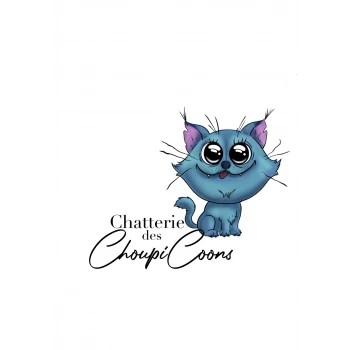 Chatterie Des Choupicoons