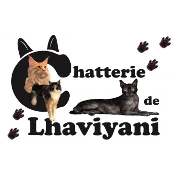 Chatterie de LHAVIYANI