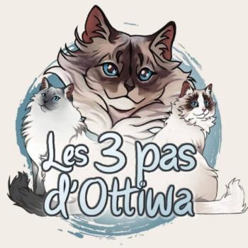 Des 3 Pas d'Ottiwa