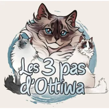 Des 3 Pas d'Ottiwa