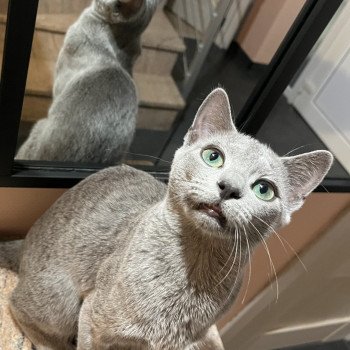 Chatterie des trésors de Mahé