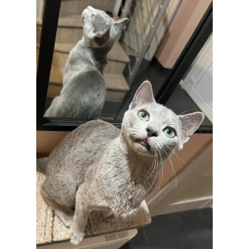 Chatterie des trésors de Mahé