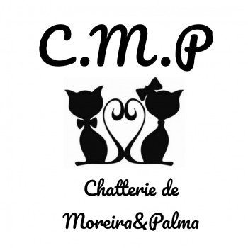 Chatterie de Moreira&Palma