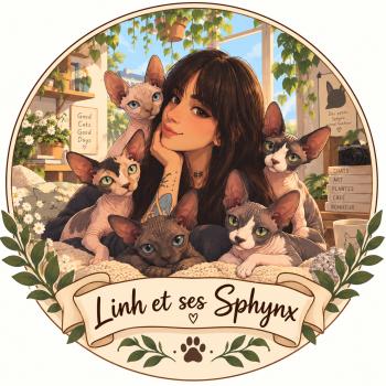 LINH ET SES SPHYNX