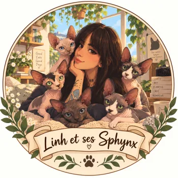 LINH ET SES SPHYNX