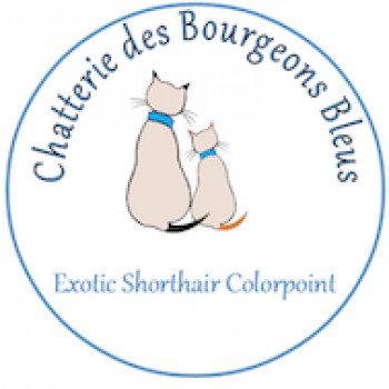 Chatterie des Bourgeons Bleus