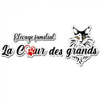 La Cour des Grands