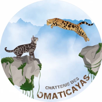 Chatterie des Omaticayas