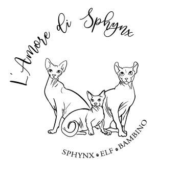 Chatterie de l'amore di sphynx