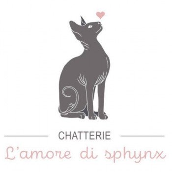 Chatterie de l'amore di sphynx