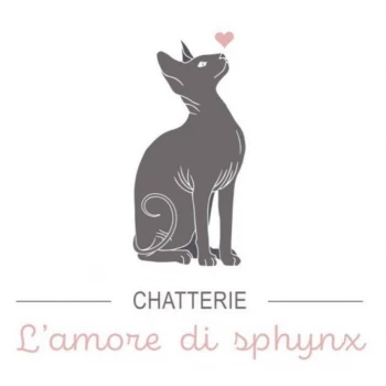 Chatterie de l'amore di sphynx